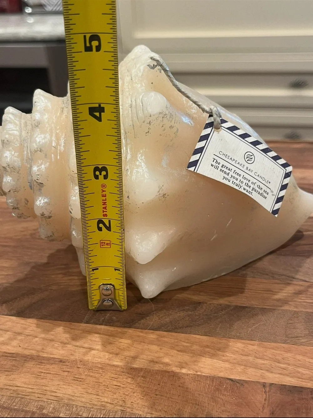 Classic Chesapeake Bay Candle co large Cream and silver Conch Shell candle. NEW!